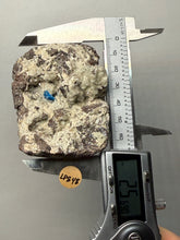 Load image into Gallery viewer, Rare Electric Blue Cavansite on Druzy Matrix – Collector Mineral Specimen | India