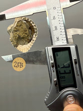 Load image into Gallery viewer, Bivalve (Pelecypoda) Fossil Sea Shell with Chalcopyrite | Mineralized Fossil Specimen | Indonesia
