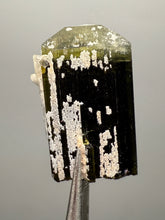 Load image into Gallery viewer, Green Cap Stak Nala Tourmaline with Cleavelandite – Haramosh Mountains, Pakistan | Thumbnail Specimen