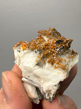 Load image into Gallery viewer, Natural Vanadinite on Matrix | Collector Mineral Specimen | Morocco