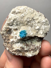 Load image into Gallery viewer, Rare Electric Blue Cavansite on Druzy Matrix – Collector Mineral Specimen | India
