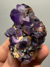 Load image into Gallery viewer, Premium Hematite-Phantom Deep Magenta Ametrine Cluster | Deccan Traps, India | Collector Mineral Specimen