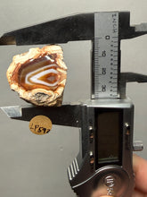 Load image into Gallery viewer, Premium Sumatra Agate (Banded Chalcedony) Display Specimen | Indonesia