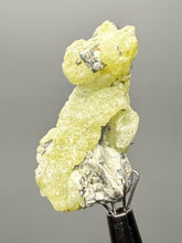 Load image into Gallery viewer, Vibrant Yellow Brucite Thumbnail Mineral Specimen | Collector Crystal from Killa Saifullah District in Balochistan Province, Pakistan