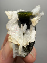 Load image into Gallery viewer, Green Cap Dark Green Stak Nala Tourmaline on Cleavelandite on Matrix – Haramosh Mountains, Pakistan
