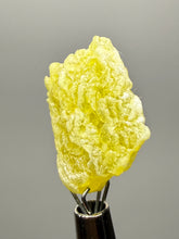 Load image into Gallery viewer, Vibrant Yellow Brucite Thumbnail Mineral Specimen | Collector Crystal from Killa Saifullah District in Balochistan Province, Pakistan