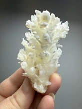 Load image into Gallery viewer, White Coral Aragonite Crystal Specimen – Wenshan Mine, Yunnan, China