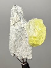 Load image into Gallery viewer, Vibrant Yellow Brucite Thumbnail Mineral Specimen | Collector Crystal from Killa Saifullah District in Balochistan Province, Pakistan