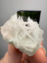 Load image into Gallery viewer, Dark Green Cap Stak Nala Tourmaline on Cleavelandite Matrix – Haramosh Mountains, Pakistan