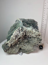 Load image into Gallery viewer, Grape Agate from Indonesia • Mineral Collector’s Showpiece Specimen