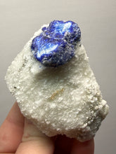 Load image into Gallery viewer, Afghanite & Lazurite on Matrix Collector Display Specimen | Badakhshan Region, Afghanistan