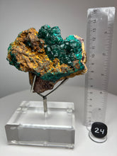 Load image into Gallery viewer, Dioptase Cluster from Congo • High Grade • Mineral Collector’s Specimen Showpiece