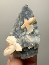 Load image into Gallery viewer, Pink Stilbite Druzy on Botryoidal Blue Chalcedony | High-Grade Mineral Collector Specimen