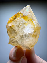 Load image into Gallery viewer, High Grade Golden Iron-Stained Himalayan Quartz Cluster | Rare Pakistan Mineral Specimen | Collector Display Crystal