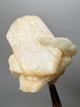 Load image into Gallery viewer, Peach Stilbite Mineral Collector’s Specimen — Deccan Traps, Maharashtra, India