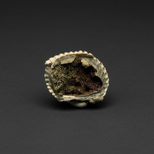 Load image into Gallery viewer, Bivalve (Pelecypoda) Fossil Sea Shell with Chalcopyrite | Mineralized Fossil Specimen | Indonesia