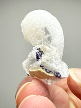 Load image into Gallery viewer, RARE COMBO Moroccan Ram’s Horn Selenite (Gypsum) with Purple Fluorite Display Specimen