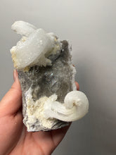 Load image into Gallery viewer, RARE COMBO Moroccan Ram’s Horn Selenite (Gypsum) with Yellow Botryoidal Fluorite Display Specimen