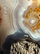 Load image into Gallery viewer, Agua Nueva Agate Nodule • High Grade Mineral Display Specimen • Mirror Polish