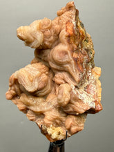 Load image into Gallery viewer, Chalcedony Quartz Rose Agate Collector Mineral Specimen – Morocco