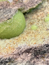 Load image into Gallery viewer, High-Grade Green Wavellite Collectors Specimen - Radiating Botryoidal Crystal Formation - Arkansas, USA