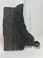 Load image into Gallery viewer, Black Druzy Petrified Wood from Indonesia