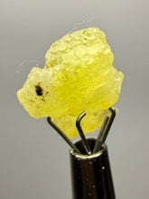 Load image into Gallery viewer, Vibrant Yellow Brucite Thumbnail Mineral Specimen | Collector Crystal from Killa Saifullah District in Balochistan Province, Pakistan