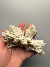 Load image into Gallery viewer, Rare Natural Anhydrite Collector Mineral Specimen | Brazil