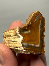 Load image into Gallery viewer, Premium Sumatra Agate Pair (Banded Chalcedony) Display Specimen | Indonesia