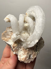 Load image into Gallery viewer, Moroccan Ram’s Horn Selenite (Gypsum) Crystal Display Specimen