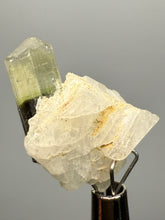 Load image into Gallery viewer, Green Cap Stak Nala Tourmaline with Cleavelandite – Haramosh Mountains, Pakistan | Thumbnail Specimen