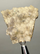 Load image into Gallery viewer, Blue-Green Chrysocolla in Botryoidal Chalcedony Cabinet Specimen | Indonesia