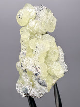 Load image into Gallery viewer, Vibrant Yellow Brucite Thumbnail Mineral Specimen | Collector Crystal from Killa Saifullah District in Balochistan Province, Pakistan