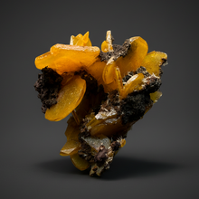 Load image into Gallery viewer, High-Grade Orange Wulfenite Collector Display Specimen | La Morita Mine, Chihuahua, Mexico