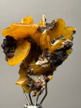 Load image into Gallery viewer, High-Grade Orange Wulfenite Collector Display Specimen | La Morita Mine, Chihuahua, Mexico