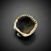 Load image into Gallery viewer, Bivalve (Pelecypoda) Fossil Sea Shell with Chalcopyrite | Mineralized Fossil Specimen | Indonesia