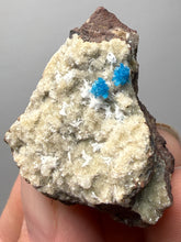 Load image into Gallery viewer, Rare Electric Blue Pentagonite on Druzy Matrix – Collector Mineral Specimen | India