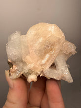 Load image into Gallery viewer, High-Grade Apophyllite on Pink Stilbite Zeolite | Indian Collector Mineral Specimen