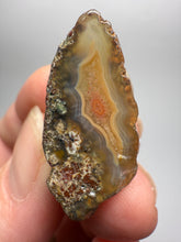 Load image into Gallery viewer, Lot of 9 Small Malawi Agate Halves – Polished Rare Colorful Collector Specimens