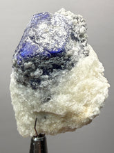 Load image into Gallery viewer, Afghanite & Lazurite on Matrix Collector Display Specimen | Badakhshan Region, Afghanistan