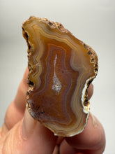 Load image into Gallery viewer, Polished Malawi Dendritic Agate Half – High-Grade African Banded Agate Display Specimen