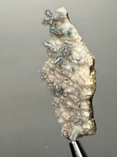 Load image into Gallery viewer, Blue-Green Chrysocolla in Botryoidal Chalcedony Cabinet Specimen | Indonesia