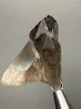 Load image into Gallery viewer, Smoky Quartz Crystal Specimen | Natural Collector Mineral – Brazil