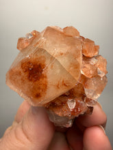 Load image into Gallery viewer, Rare Red Apophyllite Crystal Cluster – High Grade Collector Mineral Specimen | India
