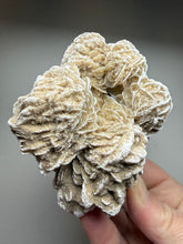 Load image into Gallery viewer, Desert Rose Selenite (Gypsum) — Mineral Display Specimen | Mexico
