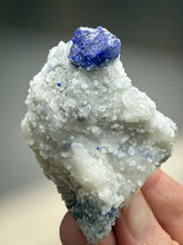 Load image into Gallery viewer, Afghan Lazurite Specimen | Deep Blue Lapis-Grade Crystal on Matrix | Collector Display Mineral