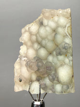 Load image into Gallery viewer, Blue-Green Chrysocolla in Botryoidal Chalcedony Cabinet Specimen | Indonesia