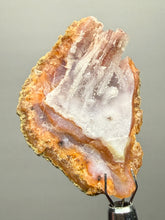 Load image into Gallery viewer, “Goblin Chalcedony” Pink & Orange Druzy Botryoidal Stalactites— Tichka Massif, High Atlas, Morocco