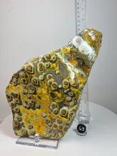 Load image into Gallery viewer, Bumblebee Jasper Agate Free Form • from West Java, Indonesia • AAA High Grade