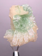Load image into Gallery viewer, Green Radial “Disco Ball” Apophyllite | Maharashtra, India